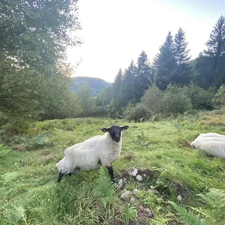 Le Ptit Prázdninový dům