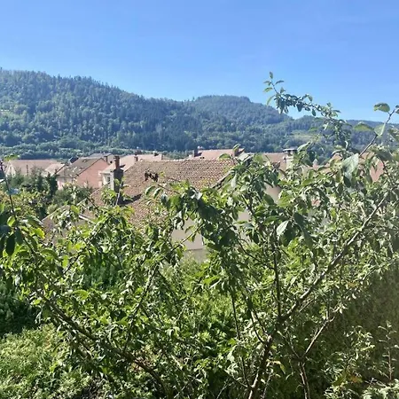 Le Ptit Σπίτι διακοπών Rupt-sur-Moselle