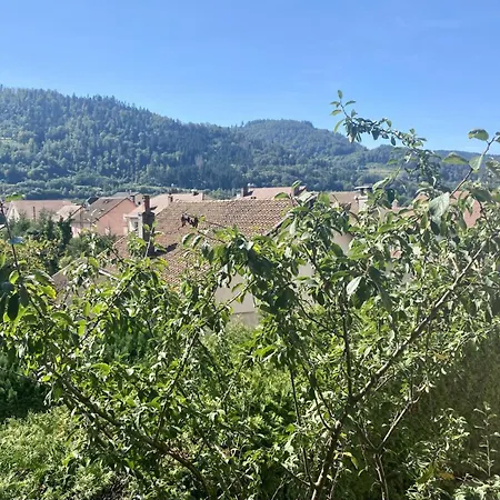 Le Ptit Rupt-sur-Moselle