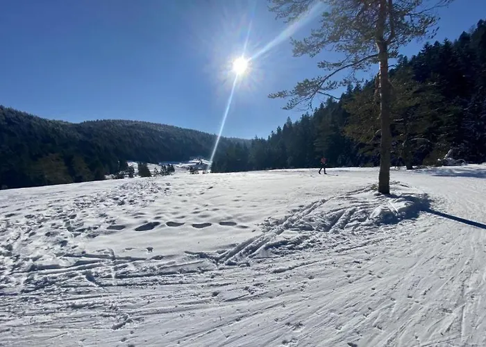 Le Ptit Rupt-sur-Moselle